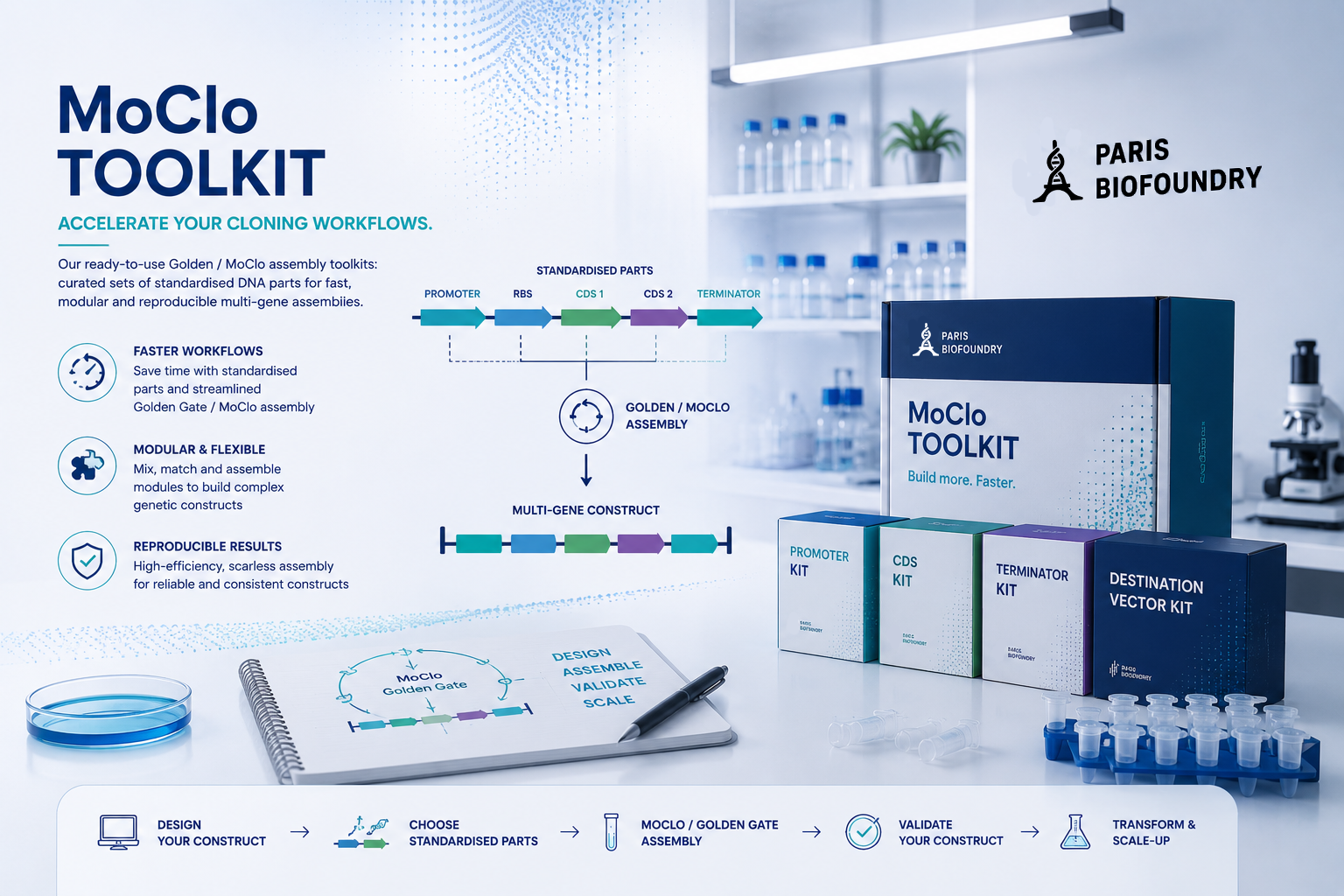 MoClo DNA Toolkit